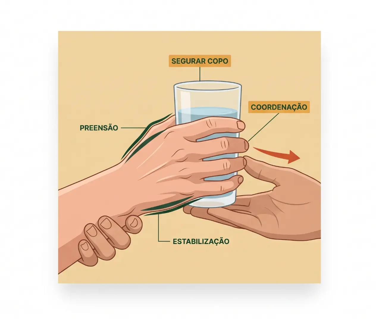 Ilustração vetorial mostrando duas mãos segurando um copo com técnica de preensão, coordenação, estabilização e movimento de segurar copo, para orientar o uso correto.