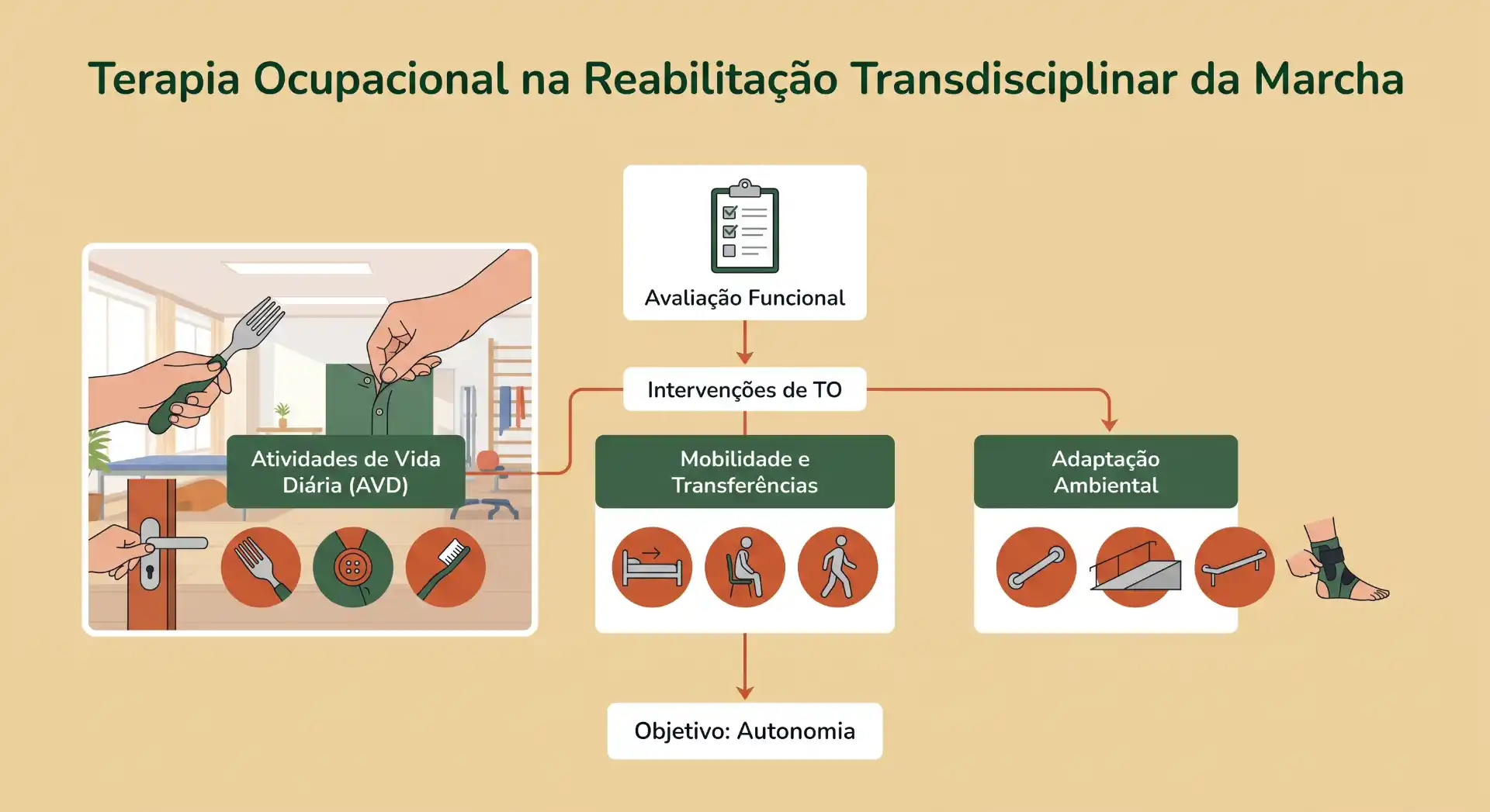 Infográfico sobre Terapia Ocupacional na Reabilitação Transdisciplinar da Marcha, com etapas como avaliação funcional, intervenções de TO, mobilidade e transferências, adaptação ambiental e objetivo de autonomia.